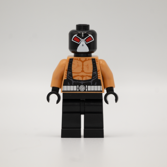 The Luchador