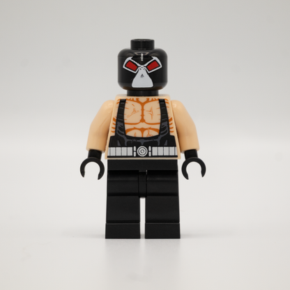 The Luchador